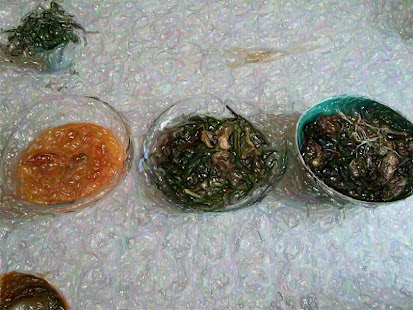 Photo Painter(圖3)-速報App