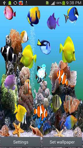 Marine Aquarium HD LW