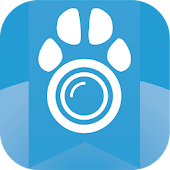 Cam2Pet, Dog Monitor & Pet Cam
