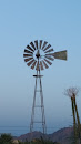 Cactus Windmill
