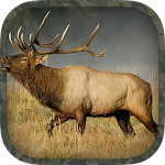 Elk Hunting Calls Apk
