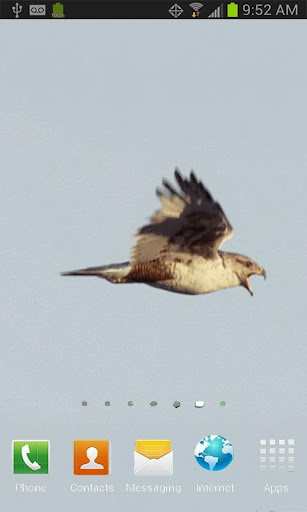 Flying Hawk Live Wallpaper