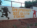 Skate Mural