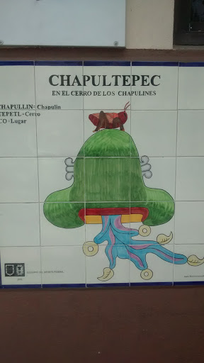 Chapullin Tepetl Co