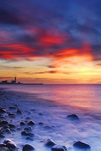 Free Download Test Application w45 - RC2 APK for PC