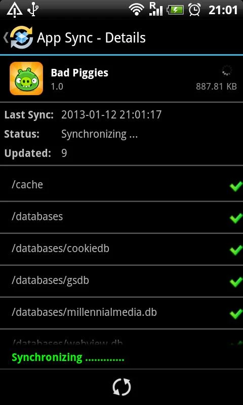 App Sync Pro - screenshot