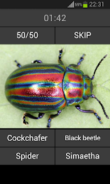 Guess the insect poster 2