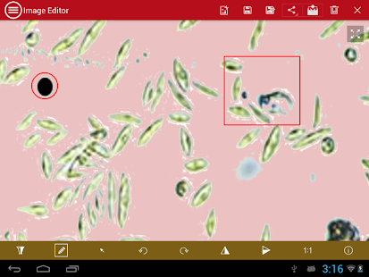 mVision Demo Screenshots 3