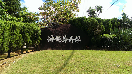 Okinawa City Cemetary Rock