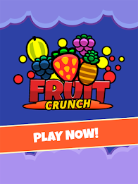 Fruit Crunch by SK Studios poster 3