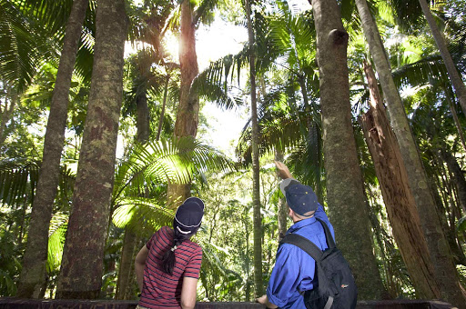 Mount_Warning_National_Park - Visitors at Mount Warning National Park, Murwillumbah district, Northern River Tropical NSW, Australia.