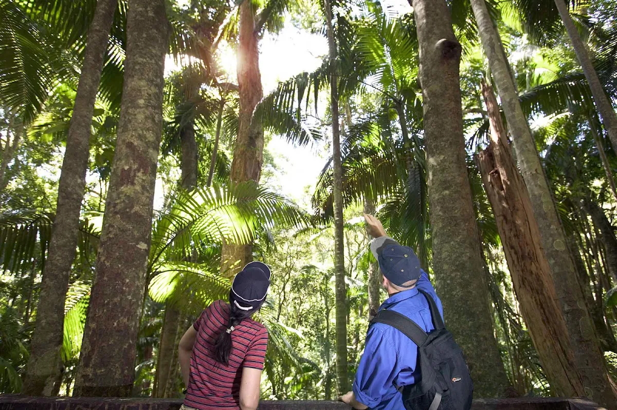 Mount_Warning_National_Park - Visitors at Mount Warning National Park, Murwillumbah district, Northern River Tropical NSW, Australia.