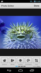 Muzy - Share photos & collages - screenshot thumbnail