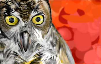 Owlie