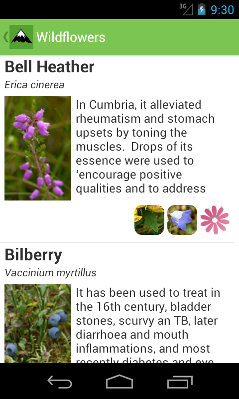 Mountain Flora &amp; Fauna Screen 3