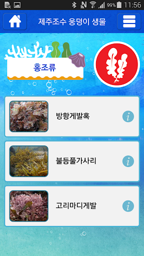 免費下載旅遊APP|제주도 조수 웅덩이 app開箱文|APP開箱王