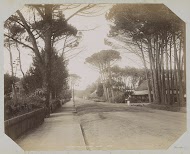 Straatgezicht te Wijnberg, Kaapstad