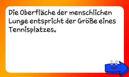 Dinge die man wissen sollte poster 5