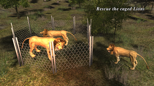 免費下載角色扮演APP|Lion Attack 3D Simulator app開箱文|APP開箱王