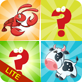 Animals Memory Match Lite