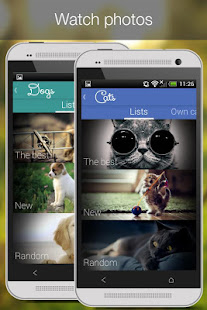 Cat Vs Dog -pet photos(圖2)-速報App