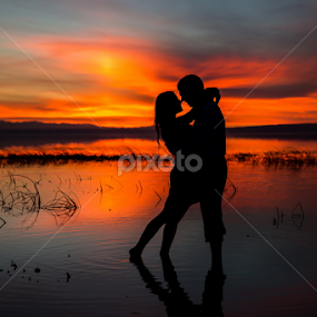 by David Terry - People Couples