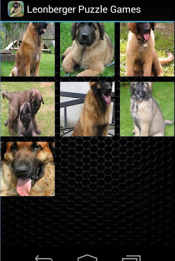 【免費解謎App】Leonberger Kids Games-APP點子