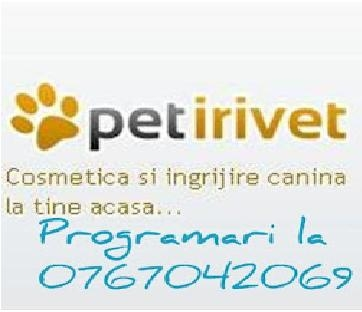 petirivet