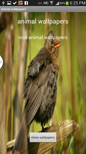 3- Animals wallpapers 2014