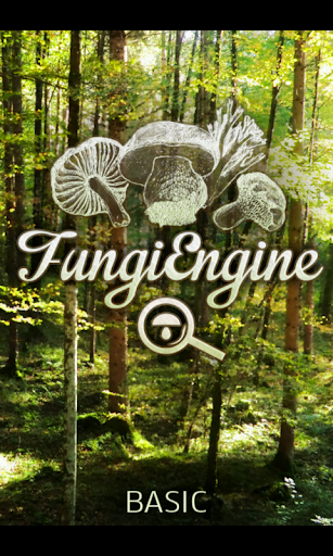 Mushroom Fungi Engine