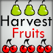 Fruits Harvest