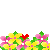 y.png