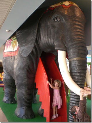 74 elephant slide