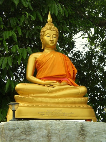 [14 buddha[3].jpg]