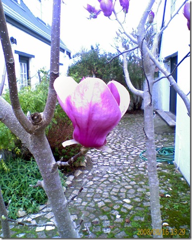 IMAGE_218_edited