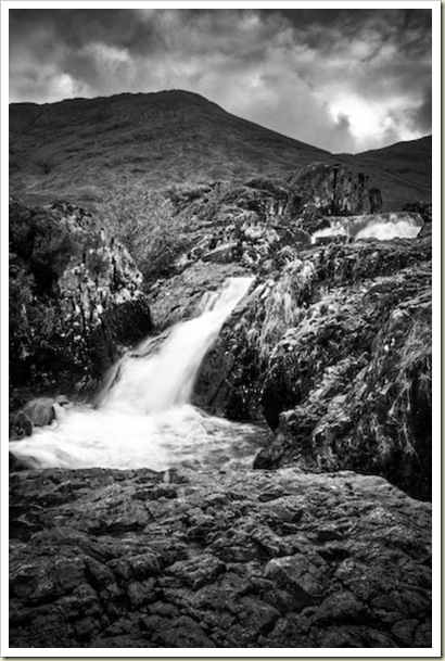 DSC_1950_1_2Enhancer