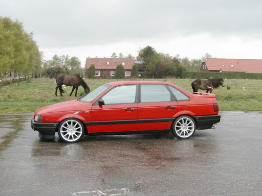 passat_8.jpg