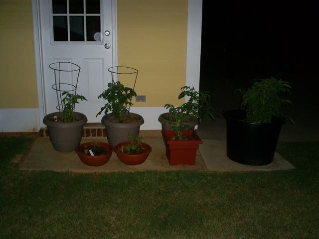 [S50310302.jpg]