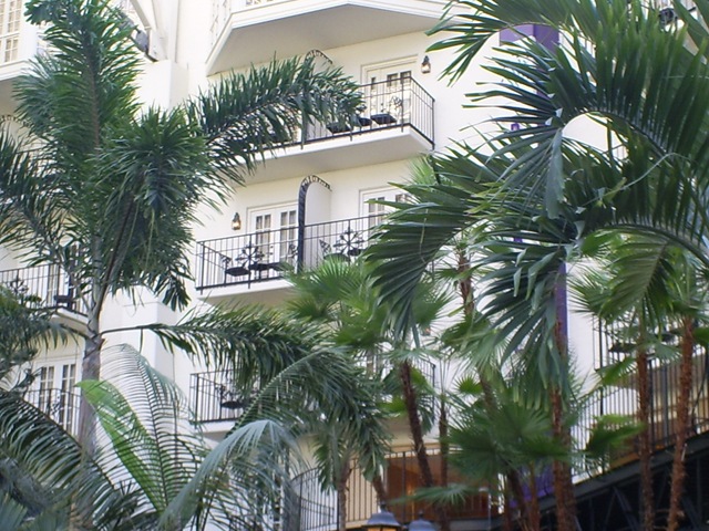 [S50310332.jpg]