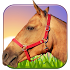 Horse Ride 3D1.6
