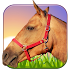 Horse Ride 3D1.6