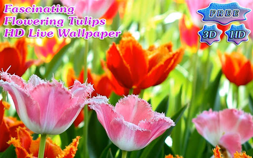 【免費個人化App】3D Fascinating Tulips Free-APP點子