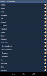 Italian Holy Bible poster 14