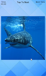 Shark Puzzle poster 2