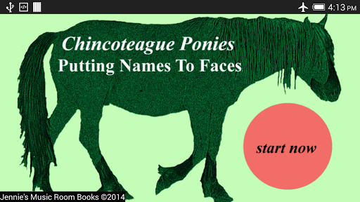 Chincoteague Pony Names