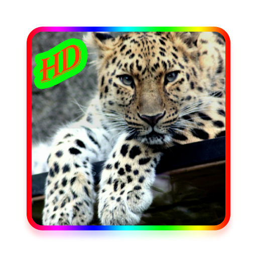 Animal Photos and Wallpapers LOGO-APP點子