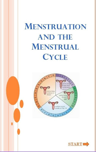 MENSTRUATION CYCLE