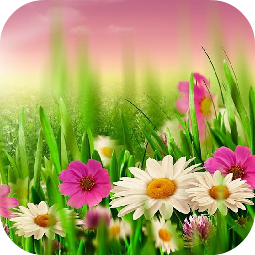 spring wallpaper 個人化 App LOGO-APP開箱王