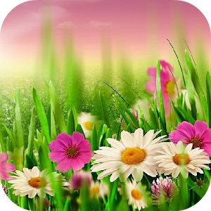 spring wallpaper.apk 4.3.3