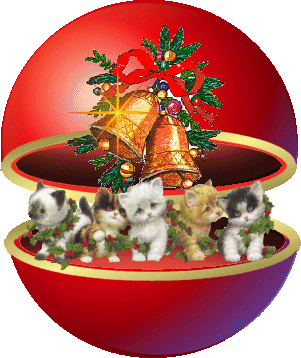 97natal027rq6.png